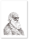 「ダーウィン イラスト」　早川書房 書籍「ダーウィンを数学で証明する」表紙イラスト　　　2014年2月