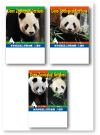 「上野動物園パンダ記念入園チケット」　恩賜上野動物園　2011年3月